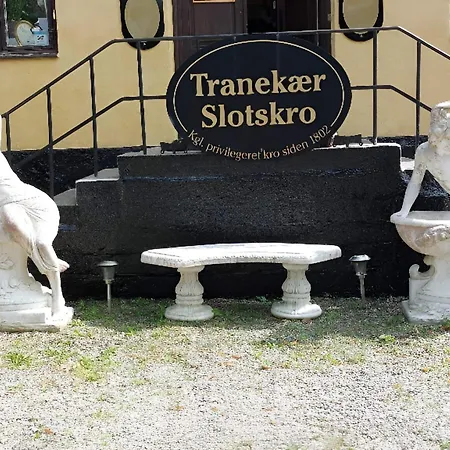 Queen In A In Tranekær